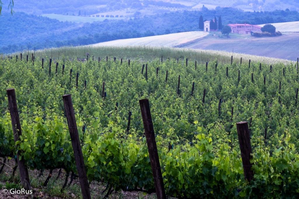 Agriturismo La Buca Di Bellugi San Quirico dʼOrcia Екстериор снимка