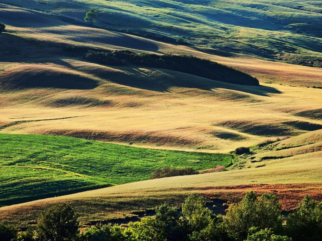Agriturismo La Buca Di Bellugi San Quirico dʼOrcia Екстериор снимка